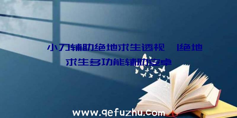 「小刀辅助绝地求生透视」|绝地求生多功能辅助安卓